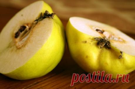 Полезные свойства айвы, о которых вы не знали / Будьте здоровы