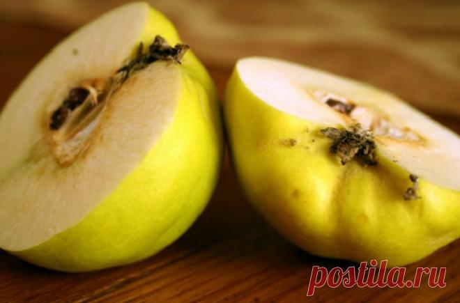 Полезные свойства айвы, о которых вы не знали / Будьте здоровы