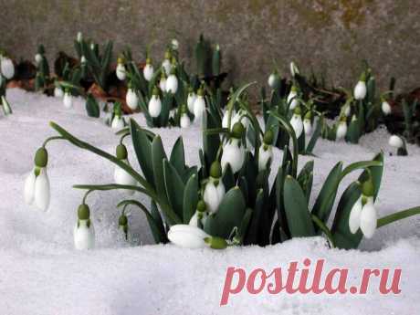 Если ваша зарплата похожа на сдачу, если замучили кредиты, если нечем платить налоги, если не знаете как жить дальше - приходите в нашу команду! Научим мечтать и воплощать мечты в жизнь!
Вы можете выделить полгода жизни, чтобы проверить работает система или нет? Как вам перспектива, получать пассивный доход от 1000$в месяц