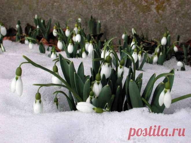 Если ваша зарплата похожа на сдачу, если замучили кредиты, если нечем платить налоги, если не знаете как жить дальше - приходите в нашу команду! Научим мечтать и воплощать мечты в жизнь!
Вы можете выделить полгода жизни, чтобы проверить работает система или нет? Как вам перспектива, получать пассивный доход от 1000$в месяц