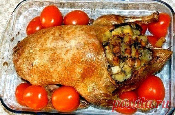 Праздничная фаршированная утка | Банк кулинарных рецептов
