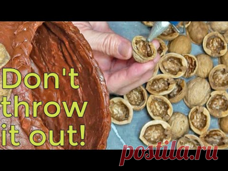 You'll be sorry if you throw away the nutshells! Extraterrestrial uses of nutshells