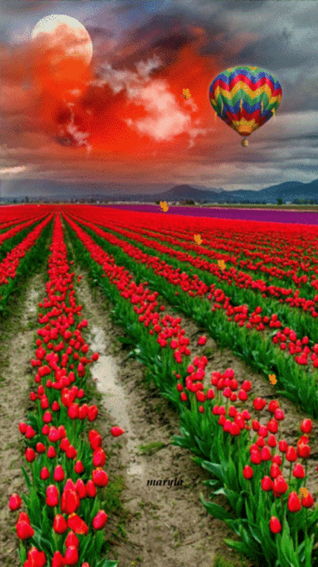World¶dise — rime-s: rime_s.tumblr.com
