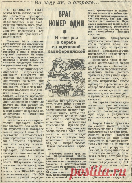 О борьбе со щитовкой калифорнийской
