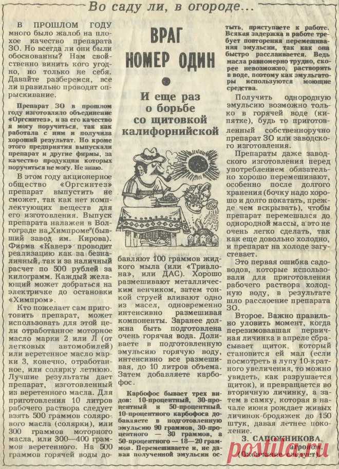 О борьбе со щитовкой калифорнийской