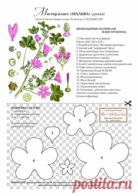 мальва