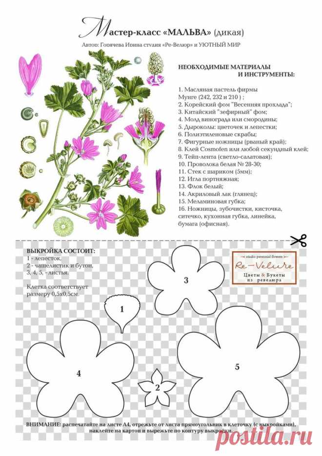 мальва