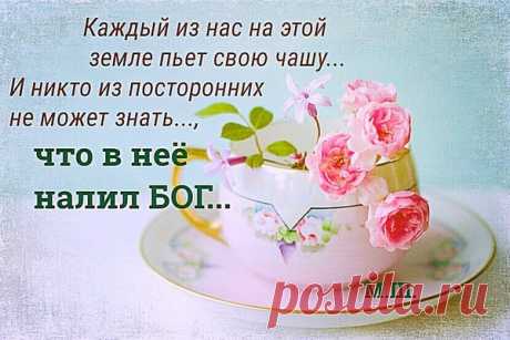 Мой Мир@Mail.Ru