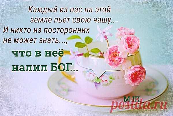 Мой Мир@Mail.Ru