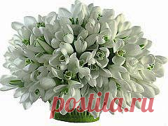Одноклассники