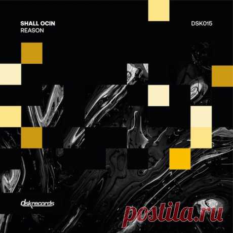 Shall Ocin – Reason [DSK015] Sharing-DB.club