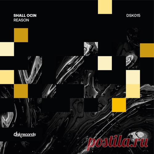 Shall Ocin – Reason [DSK015] Sharing-DB.club