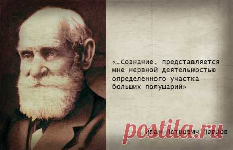 Что такое сознание?