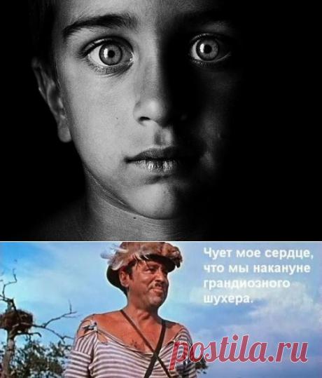 Жить интересно! - Обязанности подростка