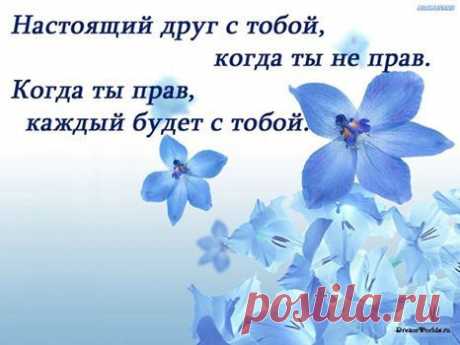 Женская логика