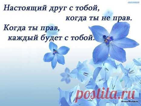Женская логика
