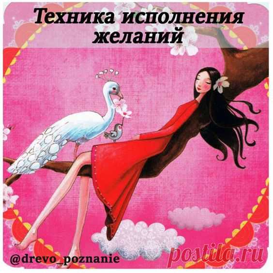 (1004) Pinterest