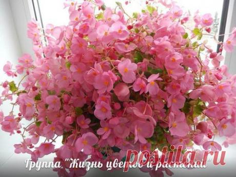 Мои закладки