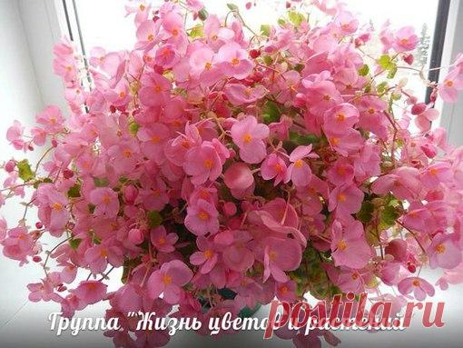 Мои закладки