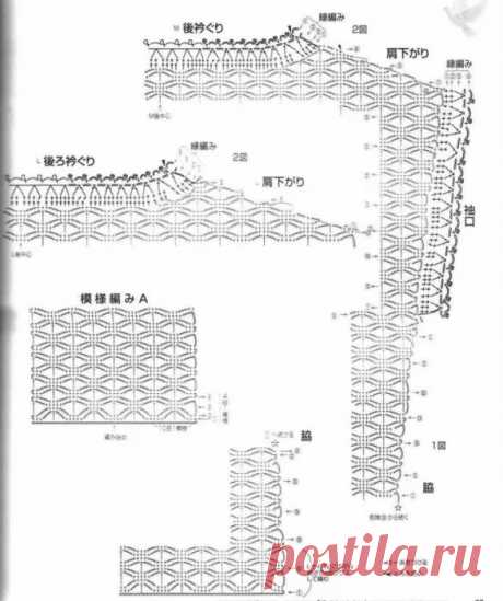 scale_1200 (586×700)