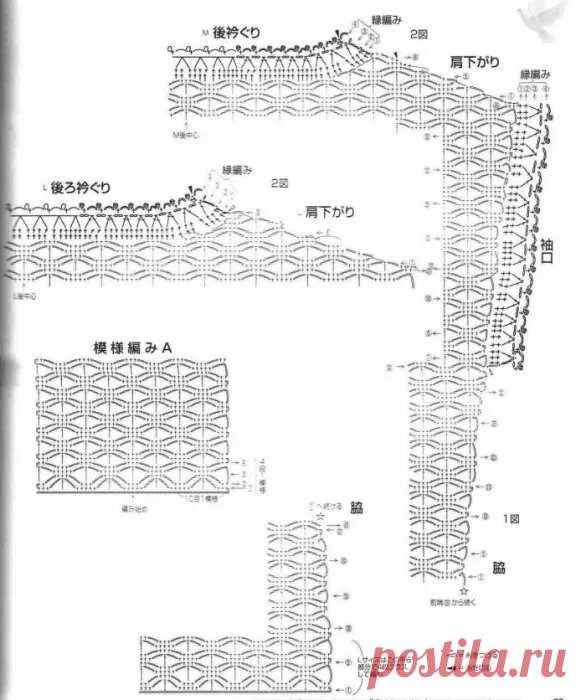 scale_1200 (586×700)