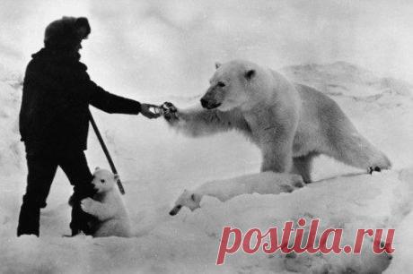 История в кадрах