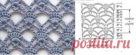 Наташа Сейдер