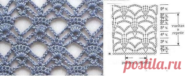 Наташа Сейдер