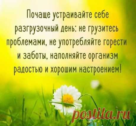 (15) Фитхакер - Публикации