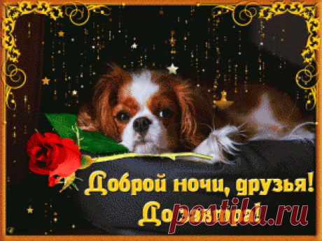 GIFOK | ДОБРОГО ВРЕМЕНИ