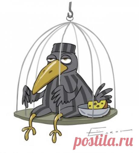 Приручили на свою голову — Убойный юмор - amworld