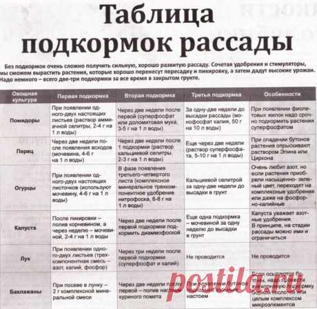 СОХРАНЯЕМ КЛАССНУЮ ШПАРГАЛКУ!

Эта табличка поможет вам не пропустить ни одной подкормки рассады.

Ваша Тина. Садовый центр. Лесной. Сиротинам11. 8-922-615-36-24