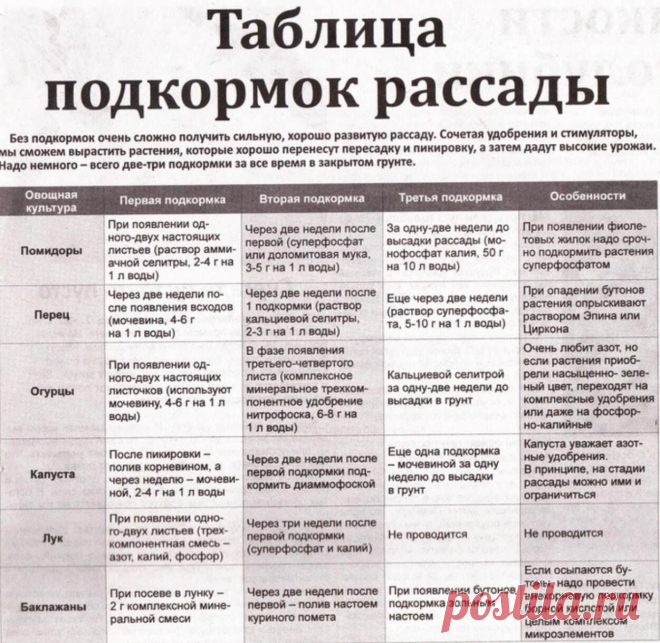 СОХРАНЯЕМ КЛАССНУЮ ШПАРГАЛКУ!

Эта табличка поможет вам не пропустить ни одной подкормки рассады.

Ваша Тина. Садовый центр. Лесной. Сиротинам11. 8-922-615-36-24