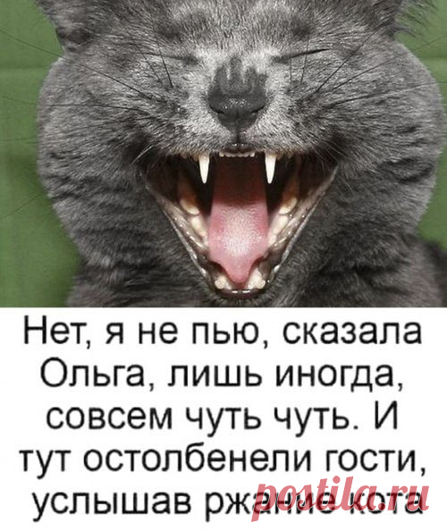Прикольных картинок немножко / Приколы