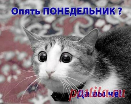 "...и тут Остапа понесло "