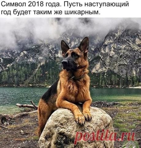 Альбина Стрибояра