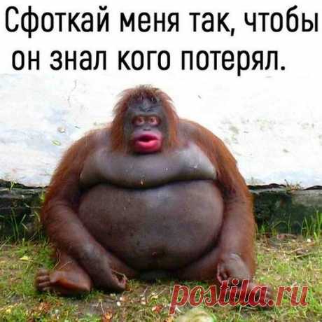 (105) Pinterest