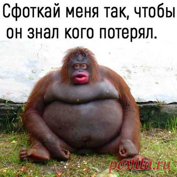 (105) Pinterest
