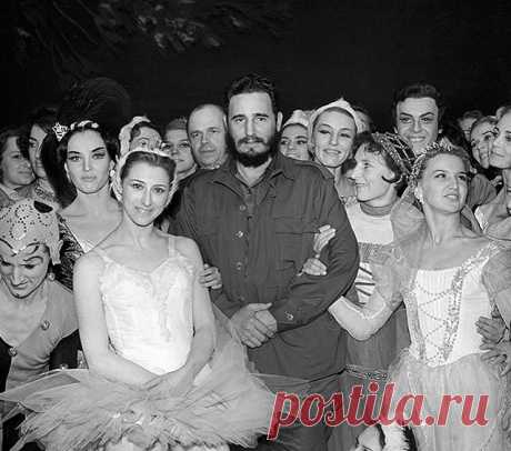 Наша Стёбка. Свобода.