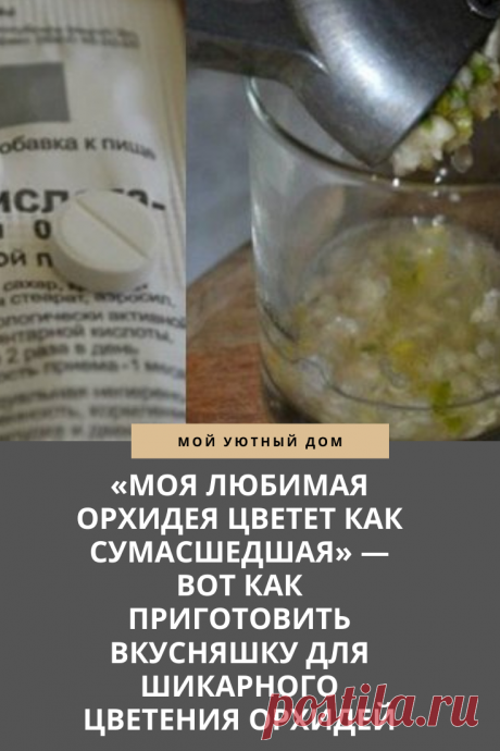 Лакомство для орхидей