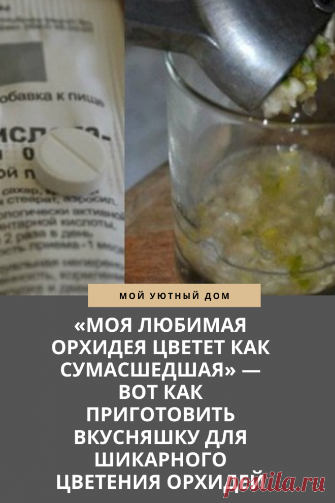 Лакомство для орхидей