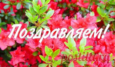 Итоги 4-го сезона конкурса &quot;Вязаный карантин&quot;