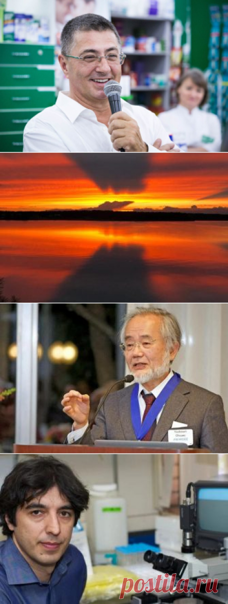 Просыпаться утром — привычное дело с детства. Вот только после 50 просыпаться по утрам становится сложнее «Правильное утро»
  Просыпаться утром — привычное для нас дело с детства. Вот только с возрастом просыпаться по утрам становится все сложнее. Такое чувство, будто тело приросло к одеялу, а голова -к подушке. Причем, после просыпания чувства бодрости совсем нет, настроение ужасное и хочется...
Читай дальше на сайте. Жми подробнее ➡