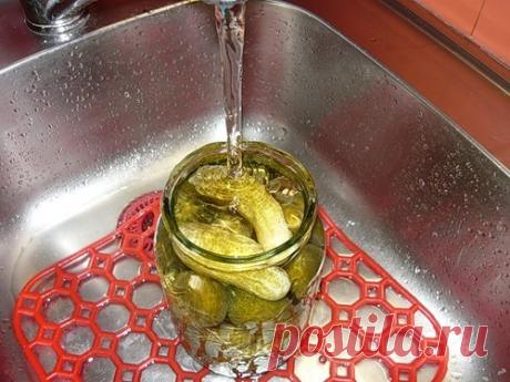 ОГУРЦЫ ИЗ ПОД КРАНА
Я долго мучилась, чтобы иметь зимой хрустящие соленые огурчики. Разные способы консервирования испробовала. Но судьба меня не оставила без внимания и послала мне... приятельницу из Киева, от нее я и узнала простейший способ консервирования огурчиков, которым пользуются киевлянки (как она мне сказала) и этот способ так и называется "Огурцы из-под крана".

🥒Ингредиенты:
огурцы
соцветия укропа
листья хрена
чеснок
черный перец горошком
листья смородины
кра...