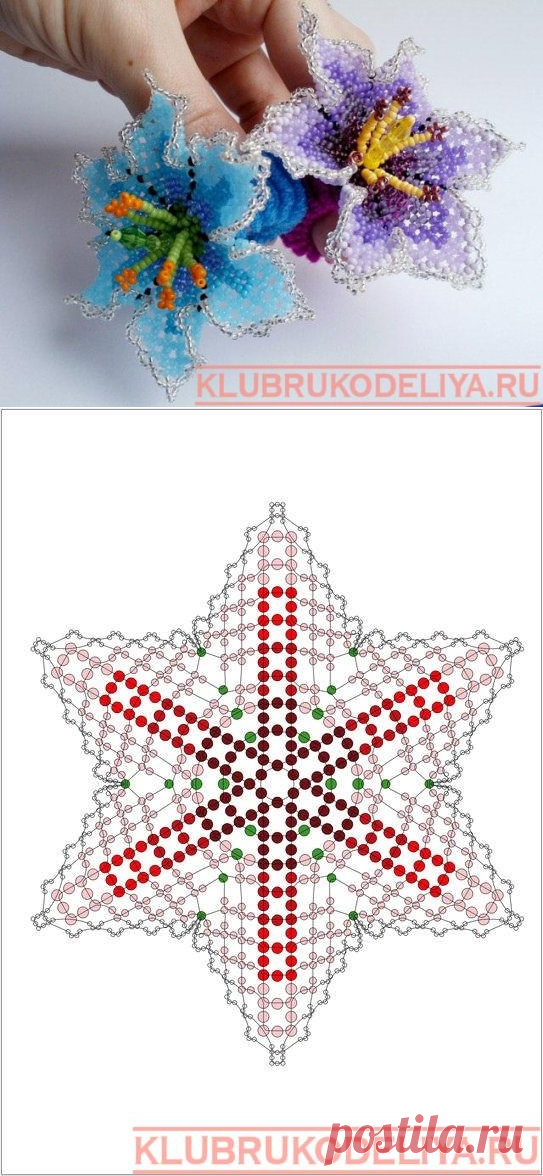Схема цветка из бисера.Ажурное плетение - Клуб рукоделия