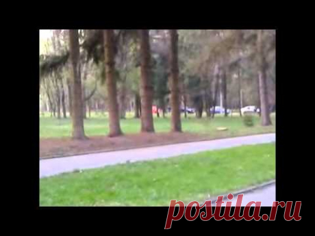 Дендропарк в г. Хмельницком - YouTube