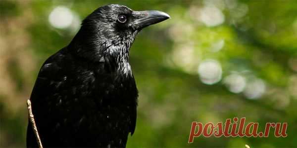 30 принципов мудрой жизни