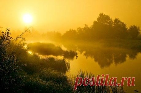 новый, прекрасный день!