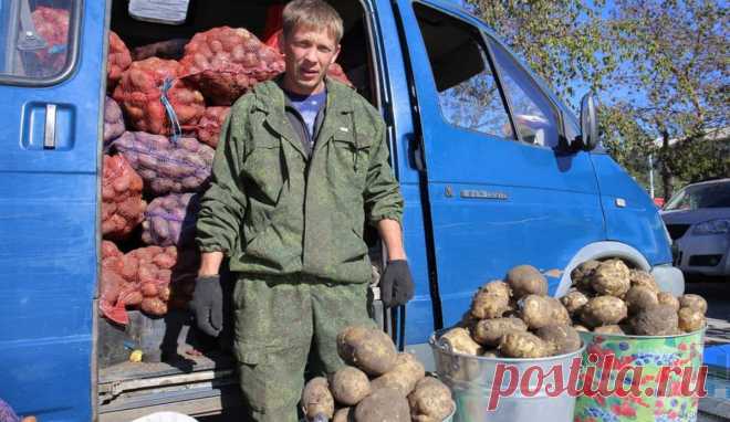 Мир здоровья