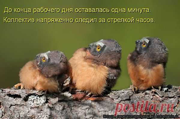 " СОВОМАТРИЦА"